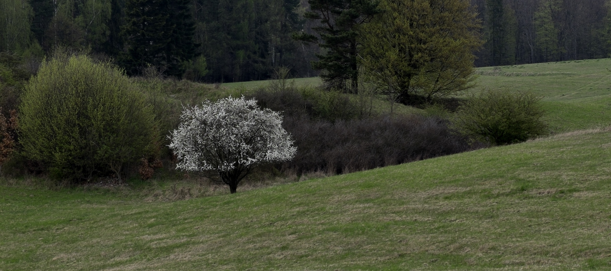 Letters to a Young Contrarian – Christopher Hitchens – bookskeptic.com